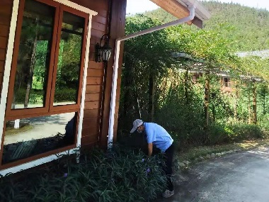 长安杀虫灭鼠站——外环境专用灭鼠器优势