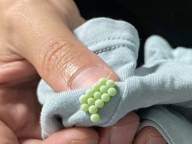 麻涌虫害消杀公司怎么灭除床上的臭虫
