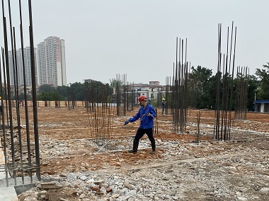 虎门验收白蚁站白蚁防治从打地基就要开始！