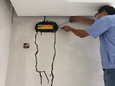 虎门验收白蚁中心5个实用技巧，拒绝白蚁找上门