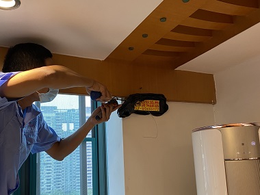 大朗白蚁防治机构东莞家具被蛀常见的白蚁种类